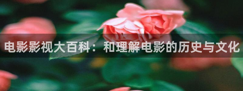 68影院蜜桃：电影影视大百科：和理解电影的历史与文化