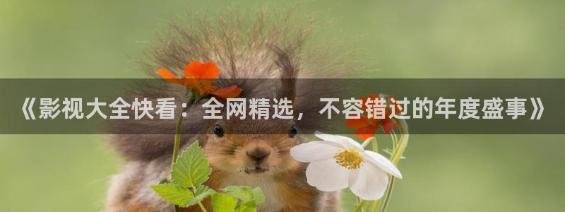 68私人影院：《影视大全快看：全网精选，不容错过的年度盛事》