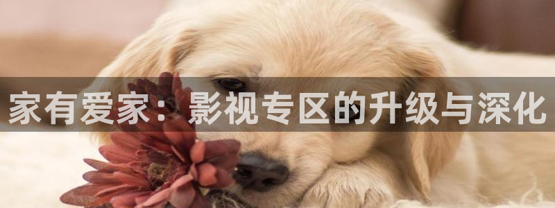 yy6680新影视大全：家有爱家：影视专区的升级与深化
