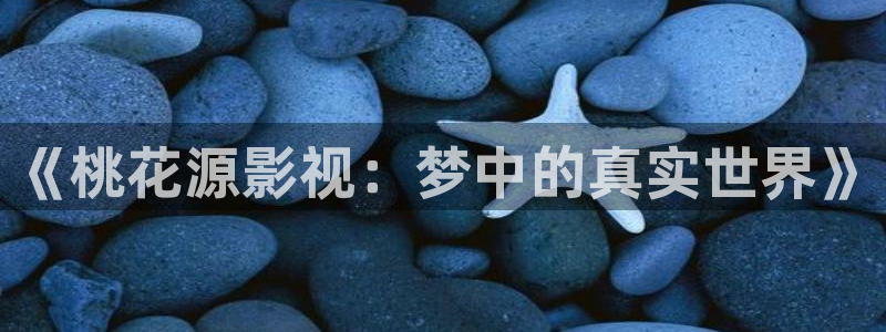 4480私人影院668：《桃花源影视：梦中的真实世界》