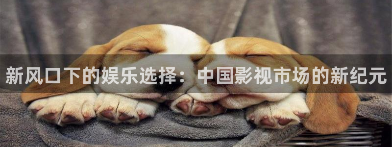 dy768影院免费观看电视剧：新风口下的娱乐选择：中国影视市场的新纪元