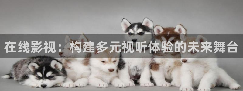 68电影网：在线影视：构建多元视听体验的未来舞台