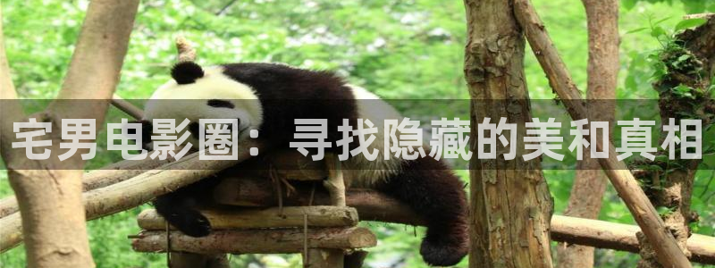 四虎影视1668：宅男电影圈：寻找隐藏的美和真相