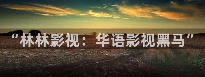 8868影视网免费的电视剧在线观看：“林林影视：华语影视黑马”