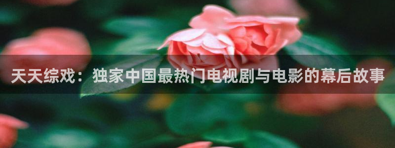 yy6680青苹果影院：天天综戏：独家中国最热门电视剧与电影的幕后故事