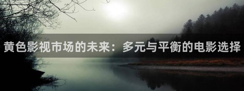 yy4680首播影院：黄色影视市场的未来：多元与平衡的电影选择