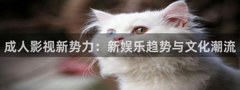 yy6688私人影院：成人影视新势力：新娱乐趋势与文化潮流